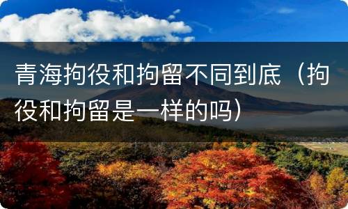 青海拘役和拘留不同到底（拘役和拘留是一样的吗）