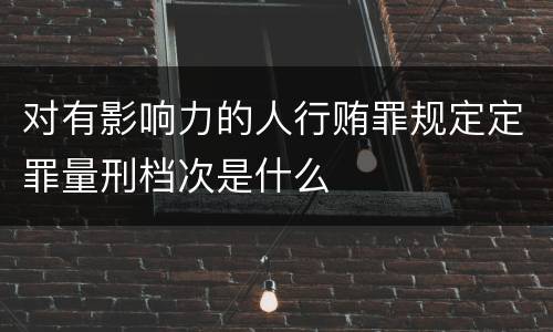 对有影响力的人行贿罪规定定罪量刑档次是什么