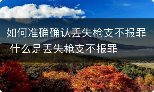 如何准确确认丢失枪支不报罪 什么是丢失枪支不报罪