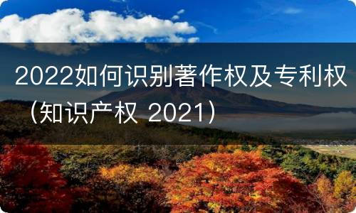 2022如何识别著作权及专利权（知识产权 2021）