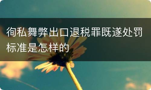 徇私舞弊出口退税罪既遂处罚标准是怎样的