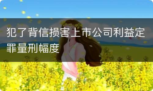 犯了背信损害上市公司利益定罪量刑幅度