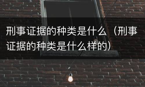 刑事证据的种类是什么（刑事证据的种类是什么样的）