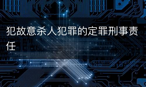 犯故意杀人犯罪的定罪刑事责任