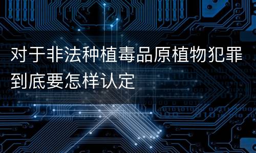 对于非法种植毒品原植物犯罪到底要怎样认定