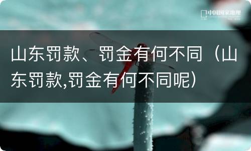山东罚款、罚金有何不同（山东罚款,罚金有何不同呢）