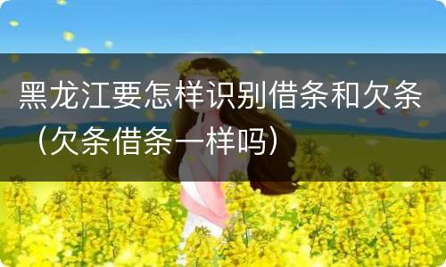 黑龙江要怎样识别借条和欠条（欠条借条一样吗）