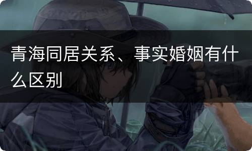 青海同居关系、事实婚姻有什么区别