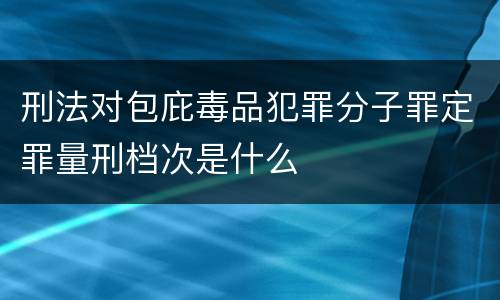 刑法对包庇毒品犯罪分子罪定罪量刑档次是什么