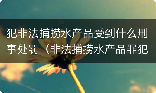 犯非法捕捞水产品受到什么刑事处罚（非法捕捞水产品罪犯罪构成）