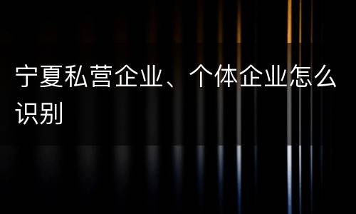 宁夏私营企业、个体企业怎么识别