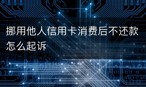 挪用他人信用卡消费后不还款怎么起诉