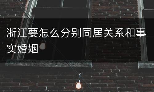 浙江要怎么分别同居关系和事实婚姻