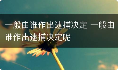 一般由谁作出逮捕决定 一般由谁作出逮捕决定呢