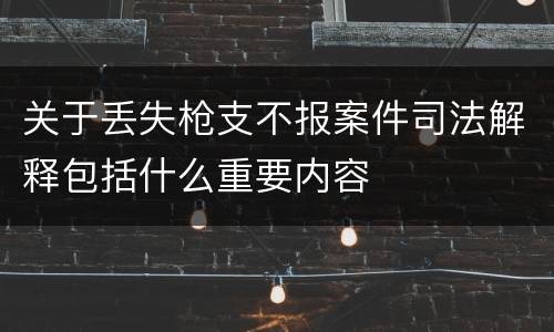 关于丢失枪支不报案件司法解释包括什么重要内容