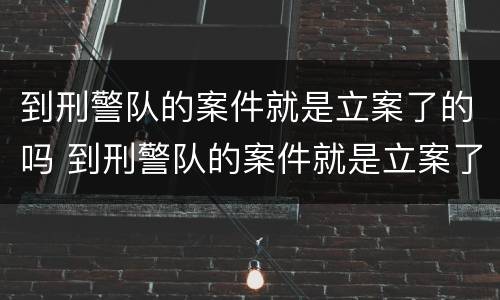 到刑警队的案件就是立案了的吗 到刑警队的案件就是立案了的吗怎么办