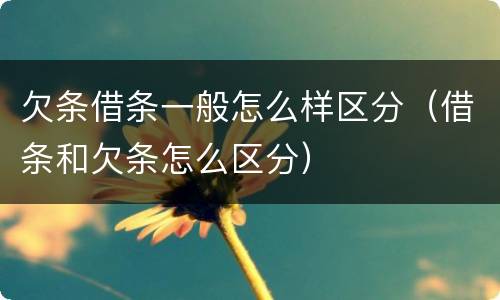 欠条借条一般怎么样区分（借条和欠条怎么区分）