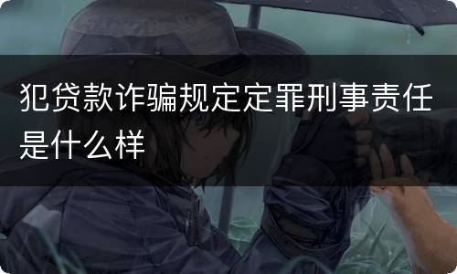 犯贷款诈骗规定定罪刑事责任是什么样