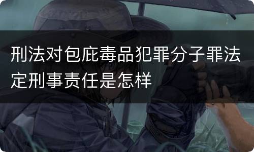 刑法对包庇毒品犯罪分子罪法定刑事责任是怎样