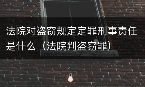 法院对盗窃规定定罪刑事责任是什么（法院判盗窃罪）