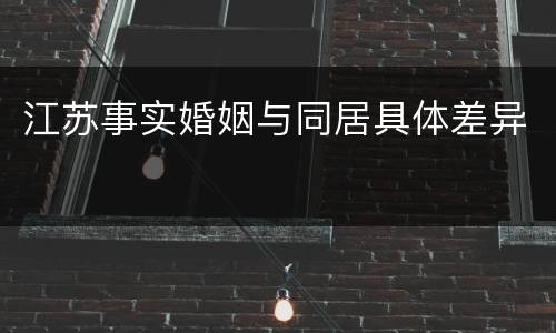 江苏事实婚姻与同居具体差异
