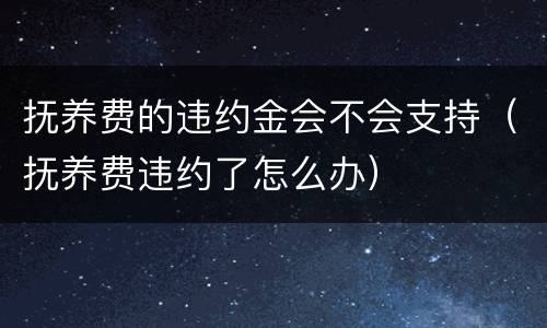 抚养费的违约金会不会支持（抚养费违约了怎么办）