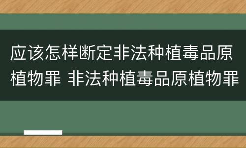 应该怎样断定非法种植毒品原植物罪 非法种植毒品原植物罪问题