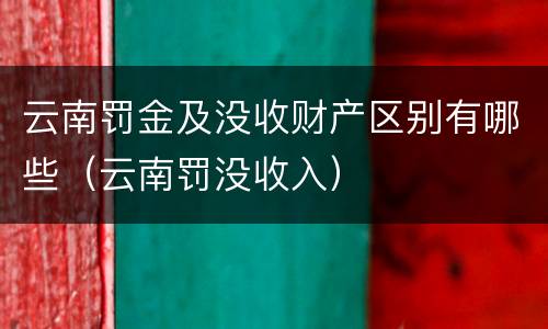 云南罚金及没收财产区别有哪些（云南罚没收入）