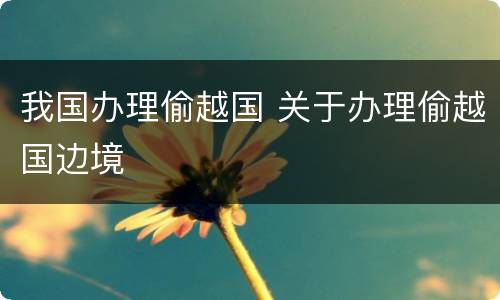 我国办理偷越国 关于办理偷越国边境