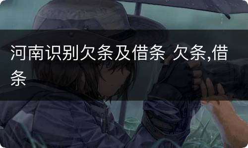 河南识别欠条及借条 欠条,借条