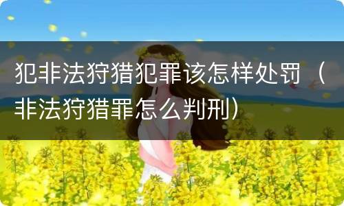 犯非法狩猎犯罪该怎样处罚（非法狩猎罪怎么判刑）