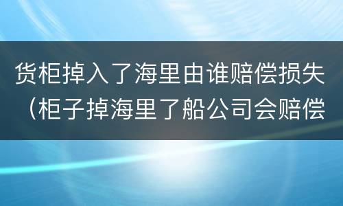 货柜掉入了海里由谁赔偿损失（柜子掉海里了船公司会赔偿吗）