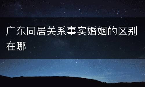 广东同居关系事实婚姻的区别在哪