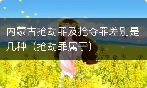 内蒙古抢劫罪及抢夺罪差别是几种（抢劫罪属于）