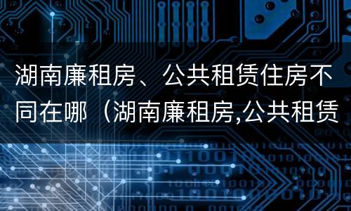 湖南廉租房、公共租赁住房不同在哪（湖南廉租房,公共租赁住房不同在哪申请）