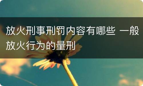 放火刑事刑罚内容有哪些 一般放火行为的量刑