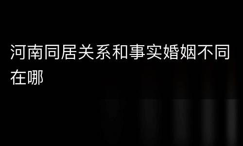 河南同居关系和事实婚姻不同在哪