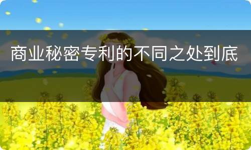 商业秘密专利的不同之处到底