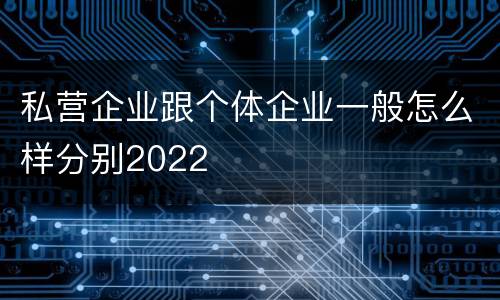 私营企业跟个体企业一般怎么样分别2022