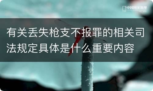 有关丢失枪支不报罪的相关司法规定具体是什么重要内容