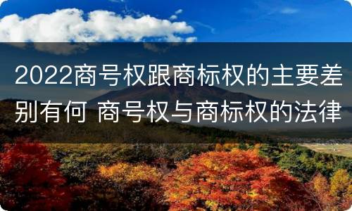 2022商号权跟商标权的主要差别有何 商号权与商标权的法律冲突与解决