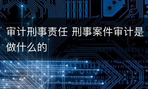 审计刑事责任 刑事案件审计是做什么的