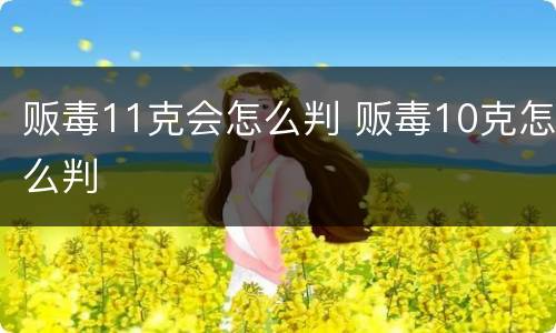 贩毒11克会怎么判 贩毒10克怎么判