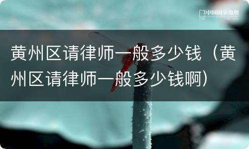 黄州区请律师一般多少钱（黄州区请律师一般多少钱啊）