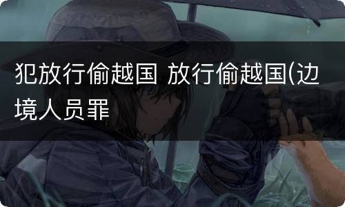 犯放行偷越国 放行偷越国(边境人员罪