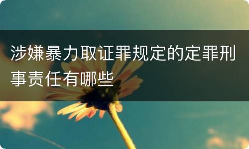 涉嫌暴力取证罪规定的定罪刑事责任有哪些