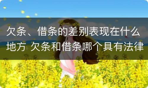欠条、借条的差别表现在什么地方 欠条和借条哪个具有法律效益