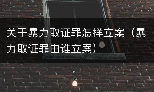 关于暴力取证罪怎样立案（暴力取证罪由谁立案）