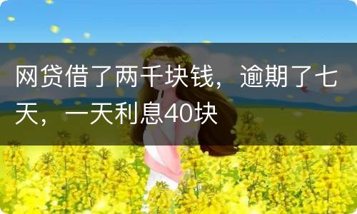 网贷借了两千块钱，逾期了七天，一天利息40块