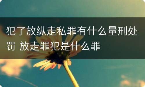犯了放纵走私罪有什么量刑处罚 放走罪犯是什么罪